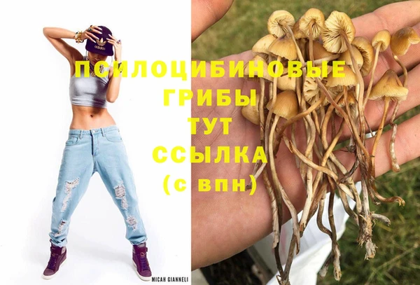 прущая мука Приозерск