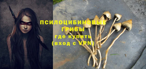 прущая мука Приозерск