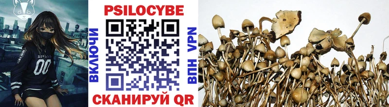 Купить  Алатырь  Псилоцибиновые грибы мухоморы 
